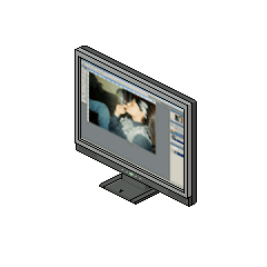 Monitor